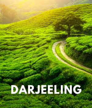 Darjeeling