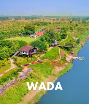 wada