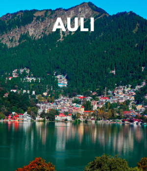 Auli